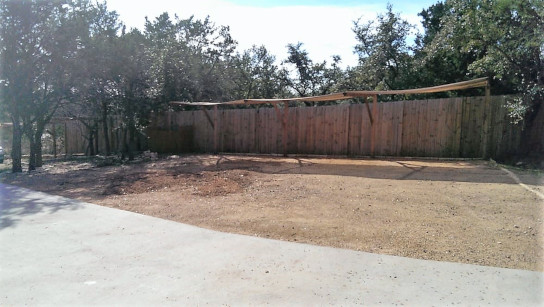 tree removal before and after - after