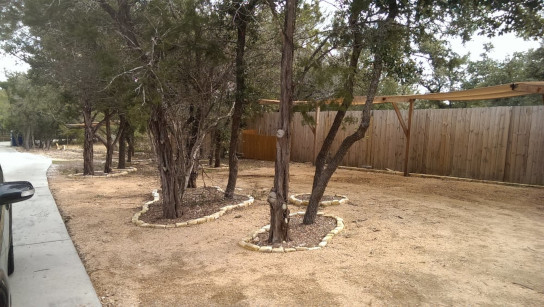 tree removal before and after - before